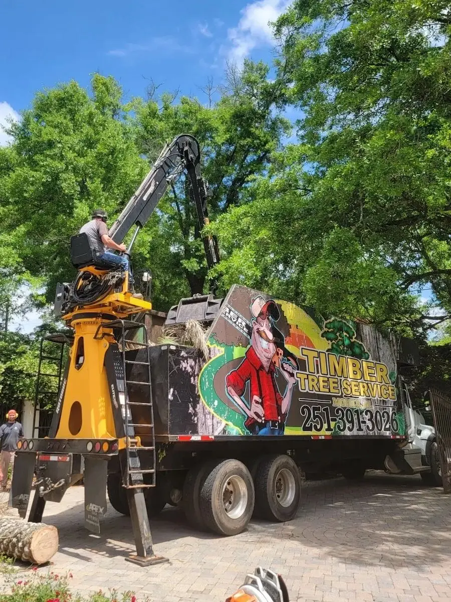 Timber Tree Service gallery 3