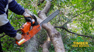 A Homeowner’s Disaster Survival Guide